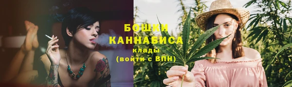 PSILOCYBIN Вязьма