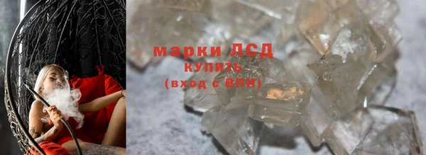 PSILOCYBIN Новодвинск