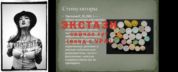 крисы Новозыбков