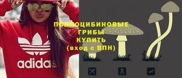 PSILOCYBIN Новодвинск