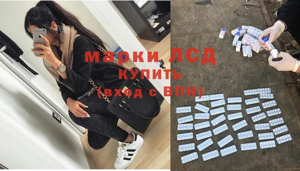 крисы Новозыбков