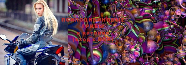 PSILOCYBIN Новодвинск