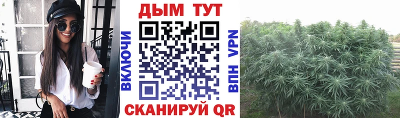 Конопля план Кирсанов